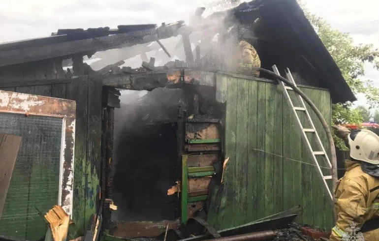 На Южном Урале попавшая в дерево молния спалила садовый дом