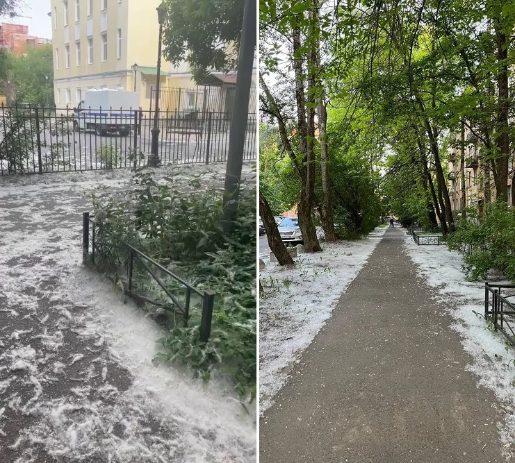 Петербуржцы страдают от обилия тополиного пуха на улицах города