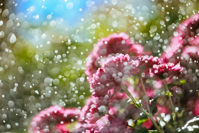 Циклон и похолодание придут в Приморье в начале новой рабочей недели