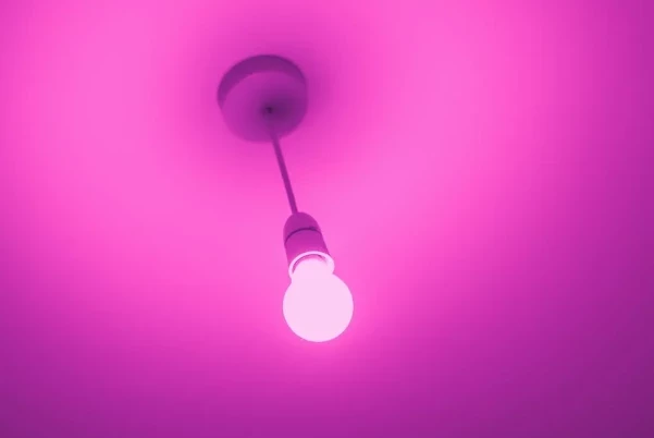 Экономные светодиодные лампы назвали опасными для здоровья