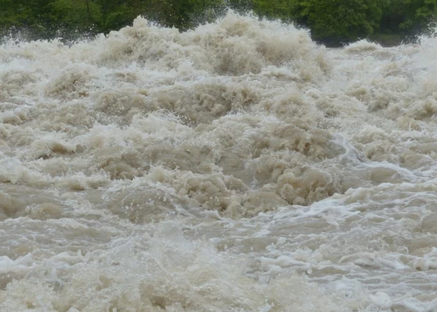 Глава РХБЗ Кириллов предупредил о появлении очагов лихорадки Западного Нила после подтопления