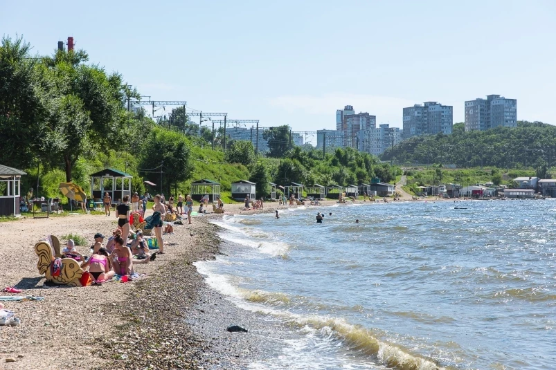 Новые детали о смерти очень редкого зверя на пляже в Приморье – ученые