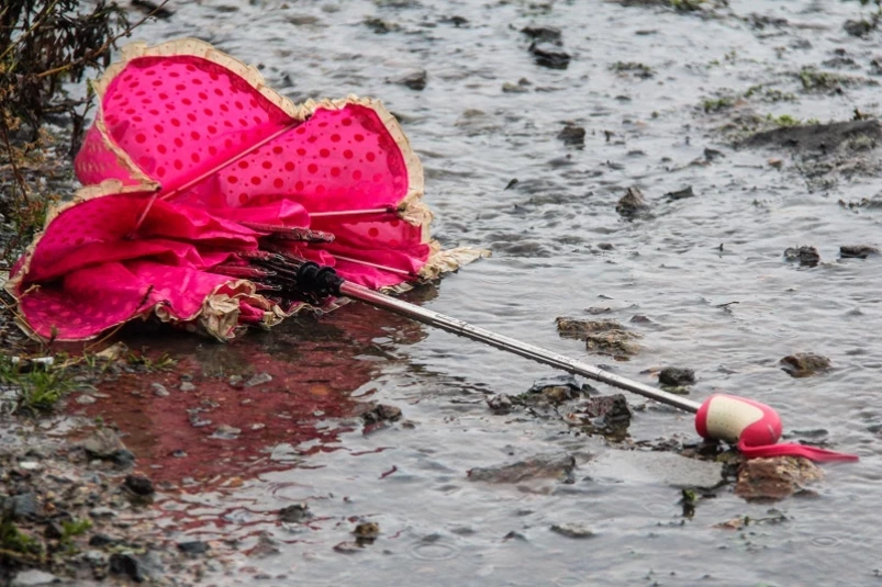 Синоптики рассказали, когда ожидается наибольший удар циклона по Приморью