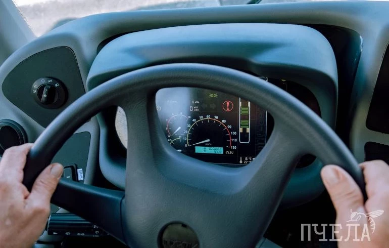 Эксперты назвали самые востребованные профессии в Челябинской области