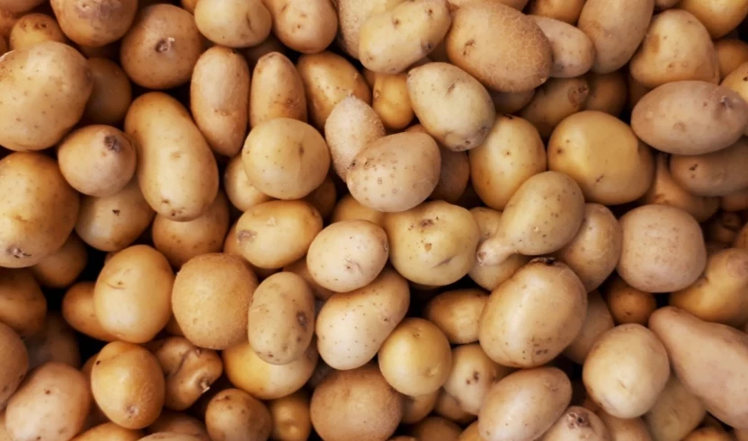 Ученые научились делать более качественные и безопасные картофельные чипсы