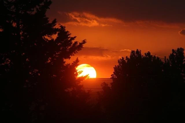 Солнце покрылось большим количеством пятен