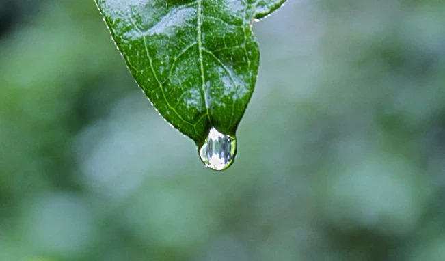 В Великобритании туристам вернут деньги, если пойдет дождь