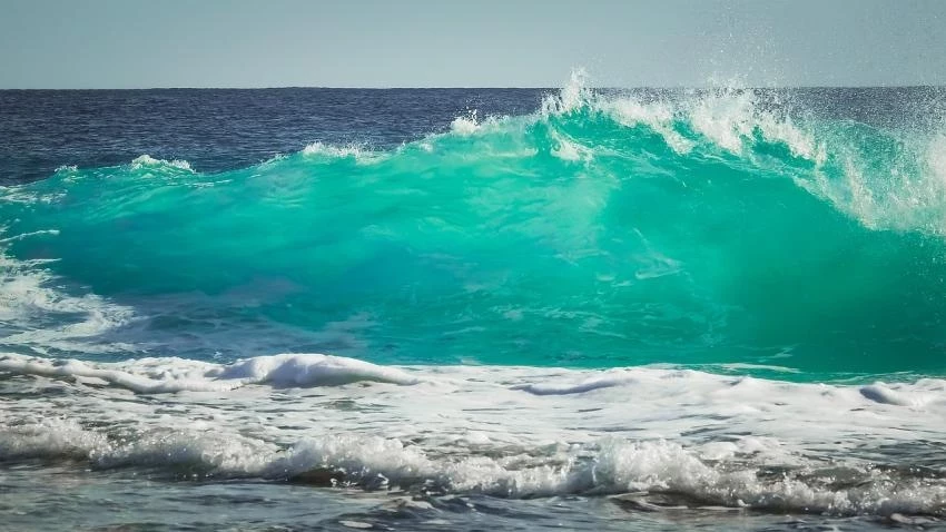 Заложники «Титана» могли продлить себе жизнь на борту молчанием и голоданием
