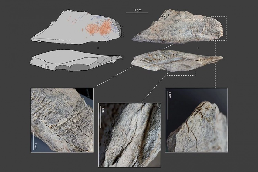 Невиданная индустрия: когда неандертальцы превратили кости в инструменты