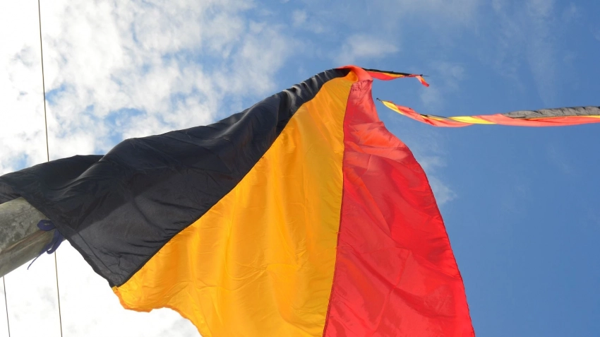 FAZ: власти Германии призывают не голосовать за ультраправых из-за России