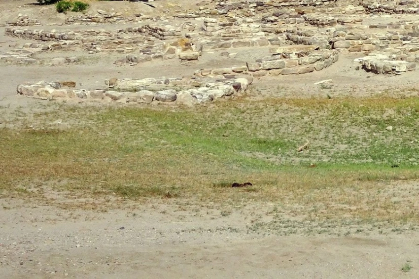 Археологи впервые обнаружили печать Юрия Долгорукого при раскопках под Суздалем