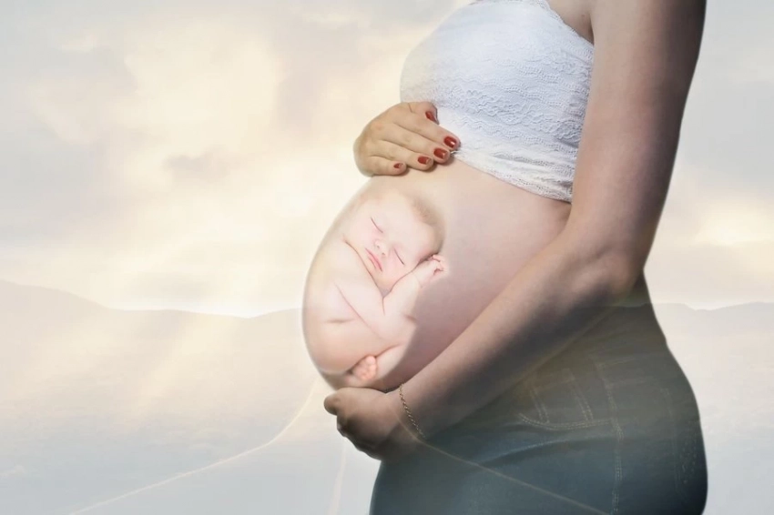 В университете города Бата обнаружили самоуничтожающиеся клетки в эмбрионах