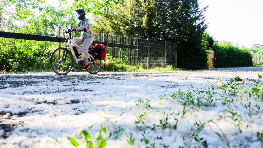 Петербуржцы жалуются на невыносимую ситуацию с тополиным пухом: «Может власти попробуют пошевелиться?»