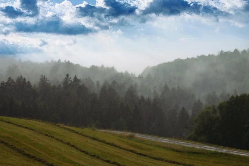 Туристы-дикари, отдыхающие на побережье Черного моря, столкнулись с проблемами
