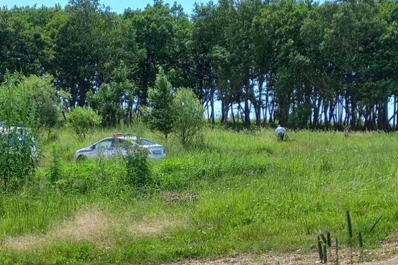 В Приморье поймали и доставили в полицию пятерых сбежавших из спецшколы подростков