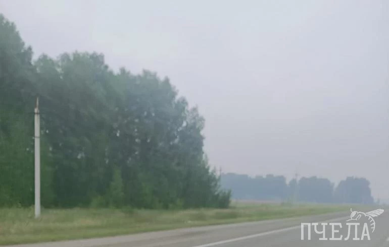 Заводы в Челябинске снизят выбросы до 40% из-за накрывшей город дымки