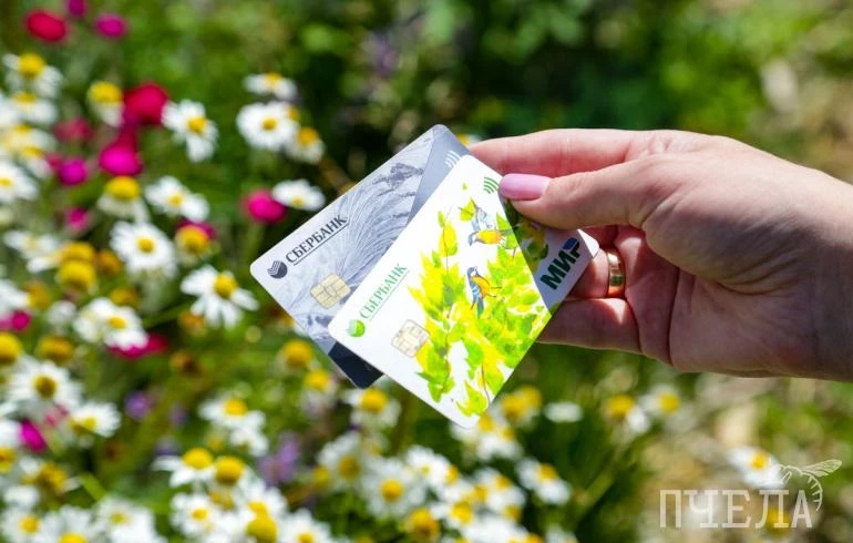 В Челябинске за три года выросла на 5 процентных пунктов доля тех, кто копит деньги