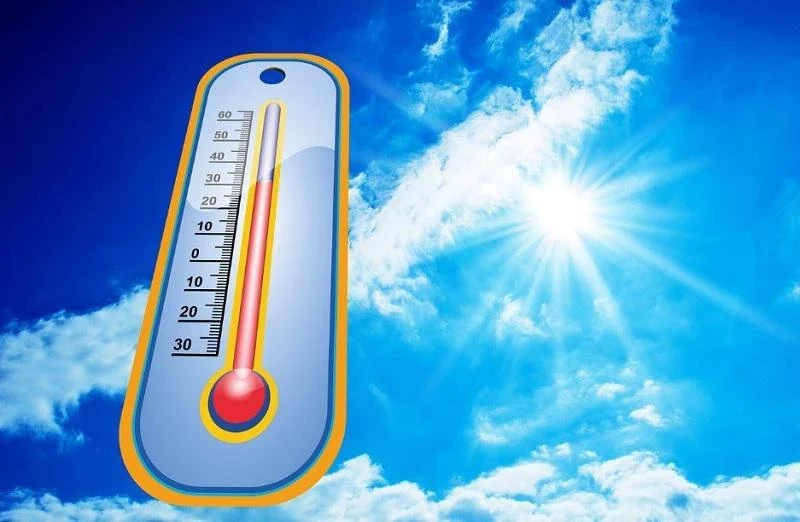 Врач Нестеров рассказал, как избежать теплового удара