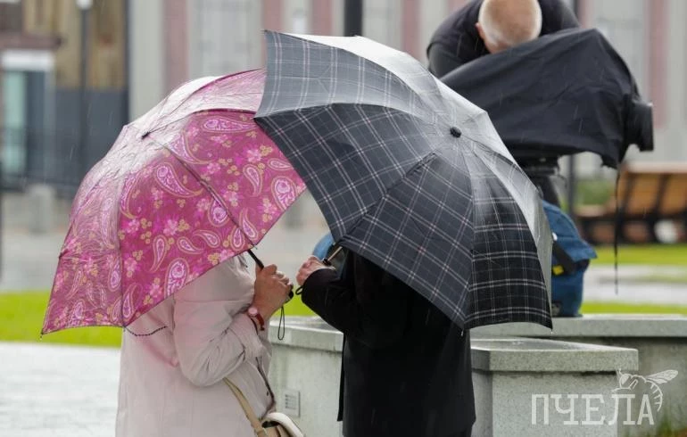 После похолодания до +7 в Челябинскую область вернётся 27-градусная жара