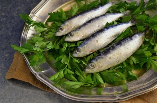 Диетолог Герасимова назвала продукты, снижающие риск образования тромбов