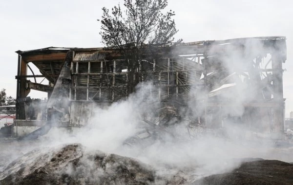 Белгородская область сегодня, обстрелы ВСУ 8 июля: последние новости, обстановка под Белгородом сейчас, что происходит 08.07.2023