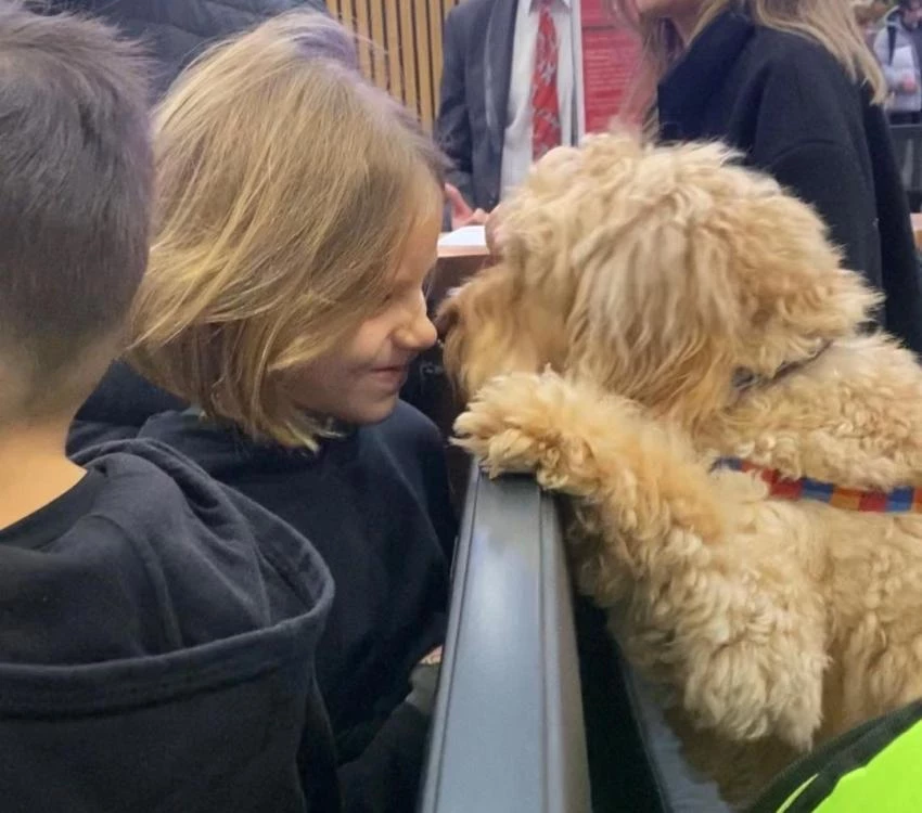 Дочь Тимати Алиса заразилась паразитами из-за поцелуев с животными