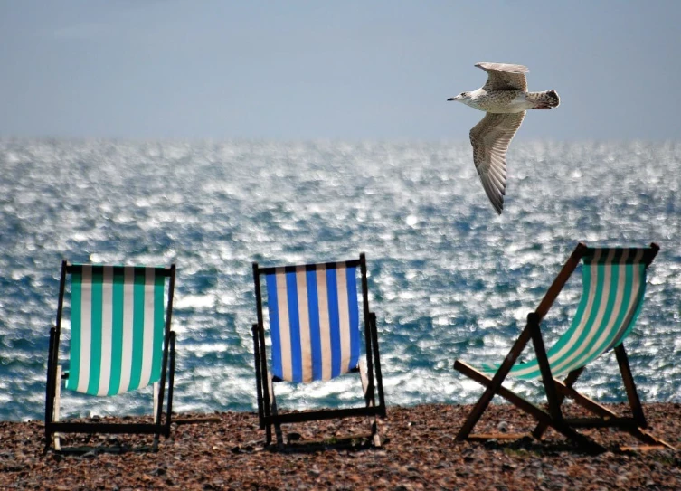 «Суточно.ру»: Евпатория, Зеленоградск и Сочи названы лучшими курортами для семейного отдыха