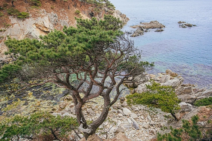 С чего начинается интерес к истории Приморского края – опрос