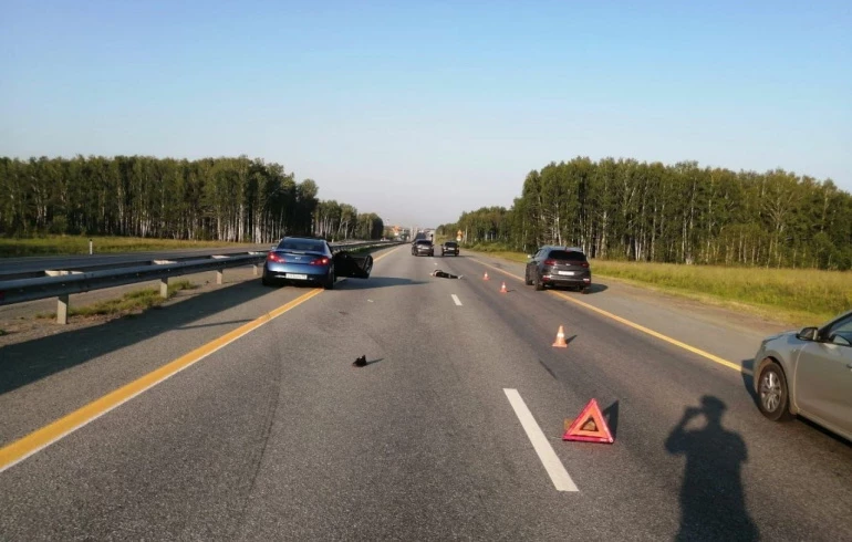 В Челябинской области под колёсами Infiniti погиб молодой мужчина