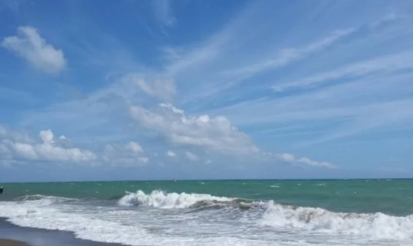 На пляже в Турции российских туристов испугала рыба, похожая на акулу