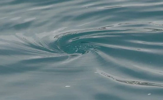 На Алтае многодетный отец утонул, спася из воды чужих детей