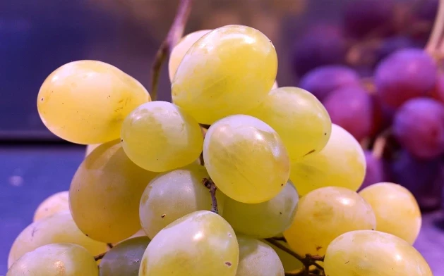 EurekAlert: Вино сохраняет молодость кожи