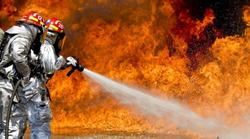 В Казахстане окончательно потушен лесной пожар в Абайской области