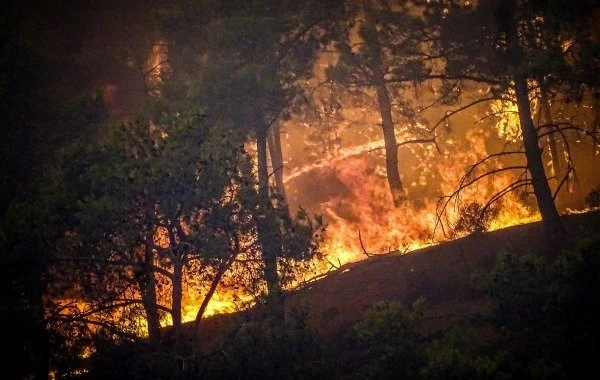 Лесные пожары в Турции 29 июля, последние новости на сегодня: что делать туристам из России, есть ли угроза, подробности на 29.07.2023