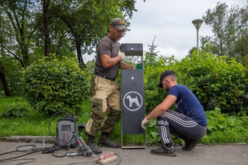 География распространения дог-боксов во Владивостоке расширяется