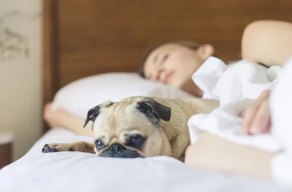 Российские ученые нашли способ менять сценарий сновидений