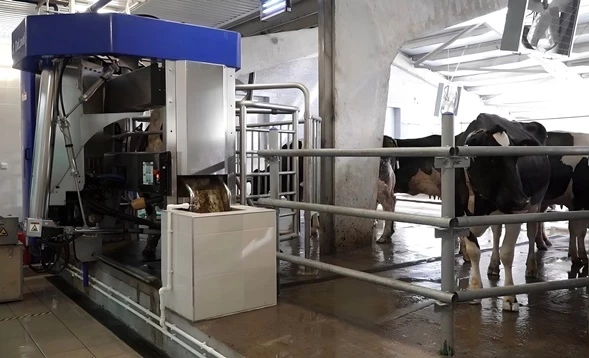 Развитие молочной индустрии Кубани: в учхозе «Краснодарское» открылась первая очередь Центра Молочных компетенцией