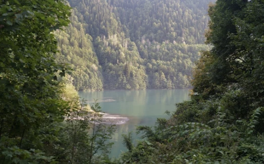 Природу Абхазии призвали сохранить в условиях туристического бума