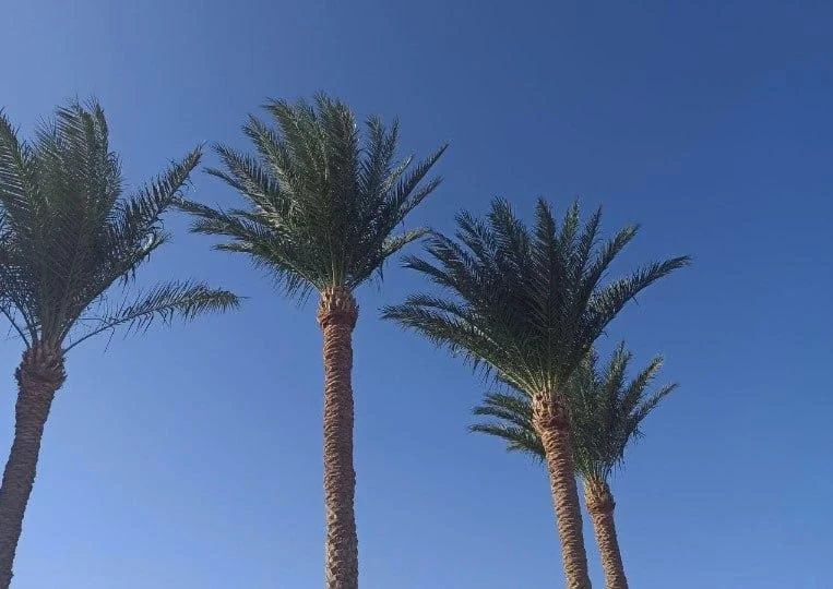 Почему отдых в Турции стал дороже, чем на Мальдивах