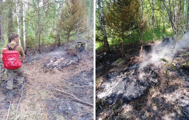 В 400 метрах от нацпарка «Таганай» вспыхнул лесной пожар