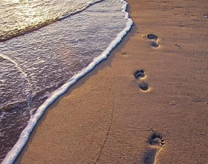 Учёный Уотерс считает, что пришло время новой геологической эпохи антропоцен