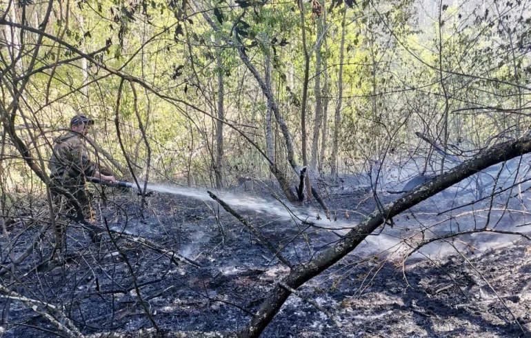 В Челябинской области задержали поджигателя леса