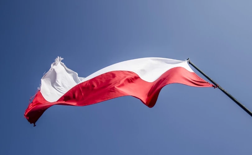 Панина заявила о неспособности Польши стать «имперским тигром»