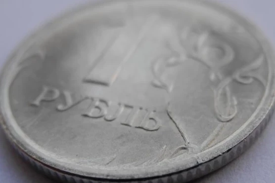 «РИА Новости»: Россия активно переводит партнеров на оплату в рублях