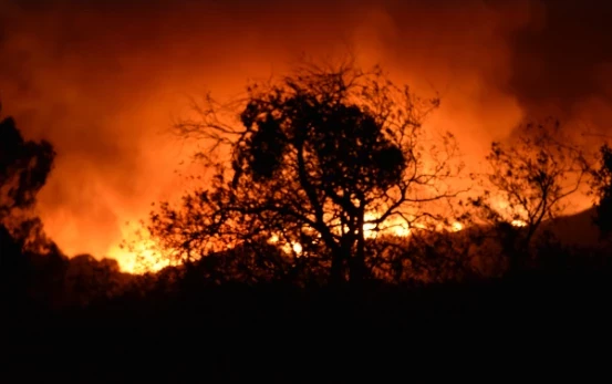 Греческие СМИ описывают ситуацию на охваченном пожарами острове Родос как «ад»