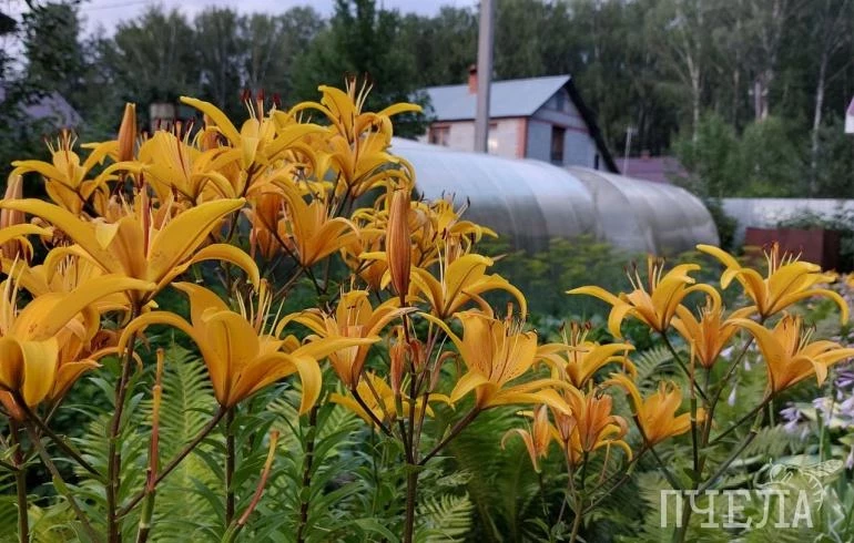 В Челябинской области после грозовых дождей потеплеет до +27 градусов