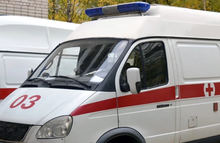 Стая уличных собак напала на 12-летнюю девочку в Волгоградской области