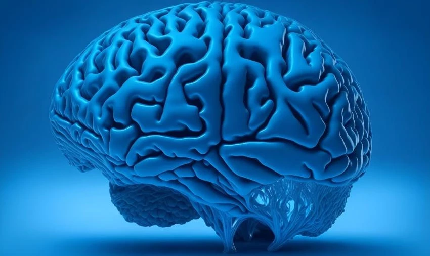 Врач-невролог Надежда Дьяконова дала советы по сохранению здоровья мозга на долгие годы