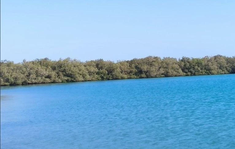 В Туапсе запрет на купание в море после подтоплений продлевается до 26 июля