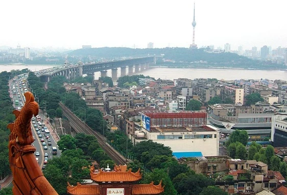 Bloomberg : США отказались от финансирования Уханьского института вирусологии